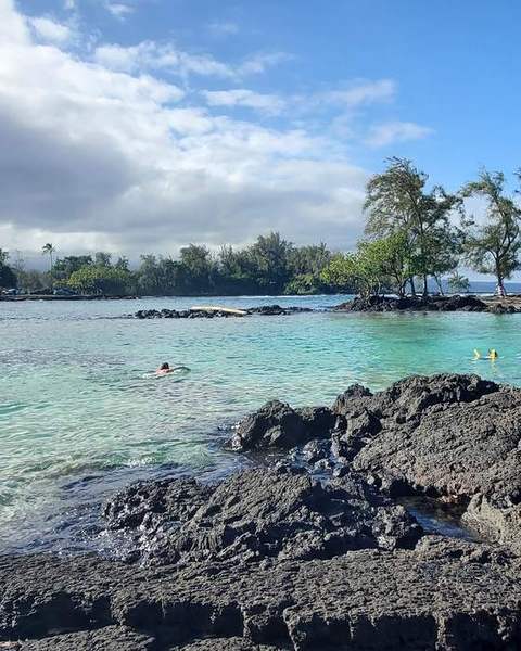 Turquoise tide pool among black lava rocks and palms