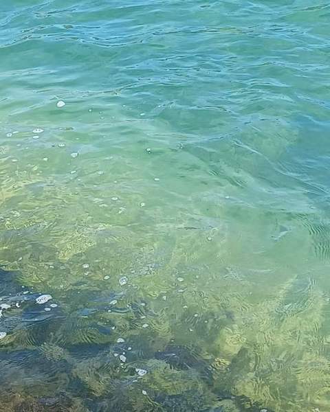 Green and turquoise water over a rocky bottom