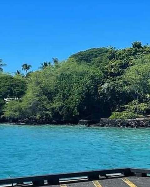 Bright turquoise cove edged with green trees